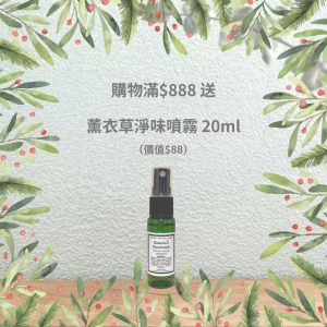 Christmas 2025 Gift A