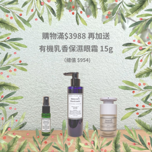 Christmas 2025 Gift C