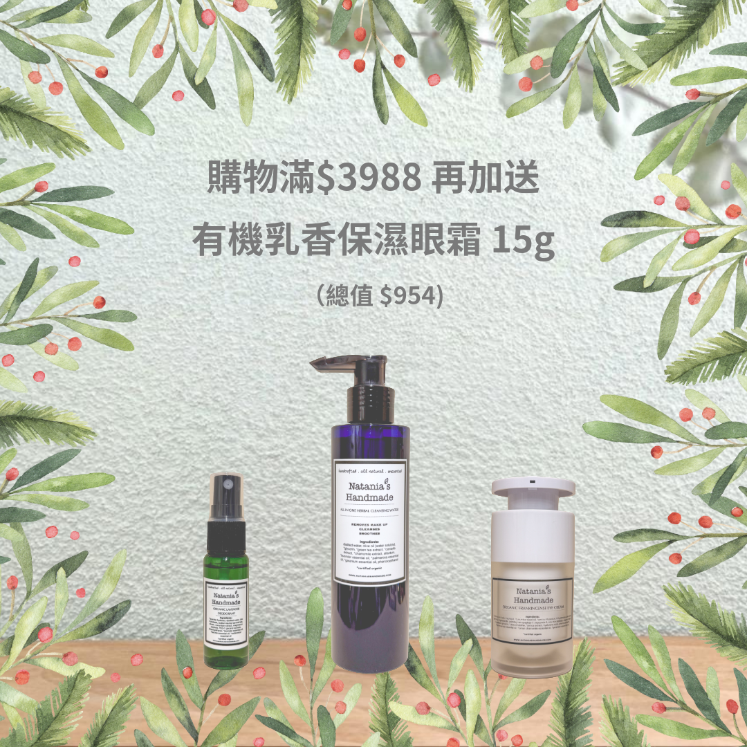 Christmas 2025 Gift C